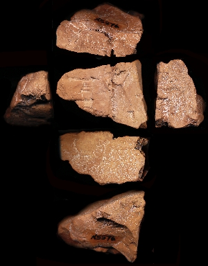 N5576