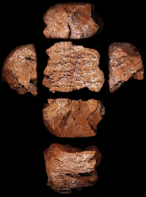 N5616
