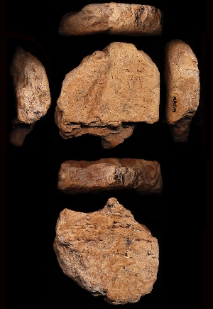 N5619