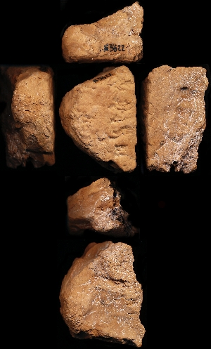 N5622
