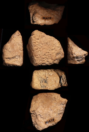N5637