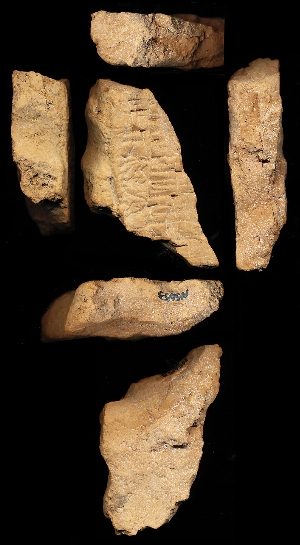 N5653