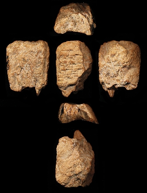 N5656