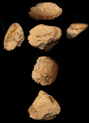 N5658