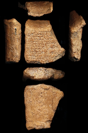 N5662