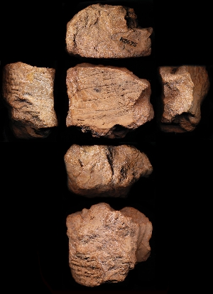 N5675