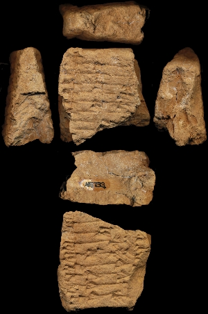 N5733