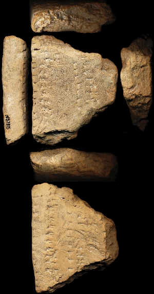 N5785