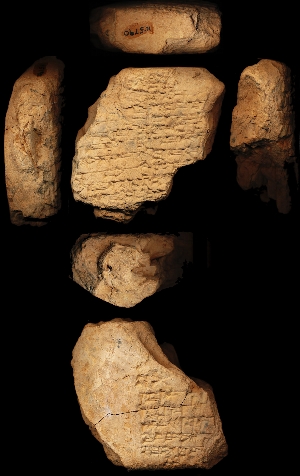 N5790