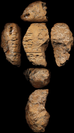 N5817