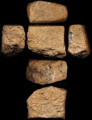 N5833