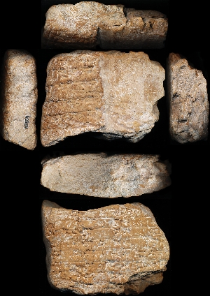 N5854