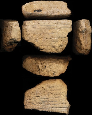 N5886
