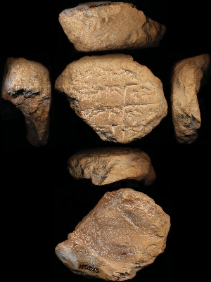 N5893