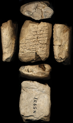 N5931