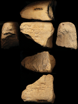 N5953