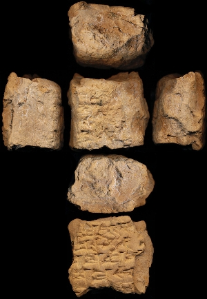 N5954