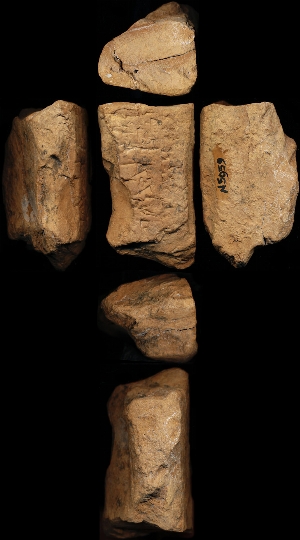 N5959