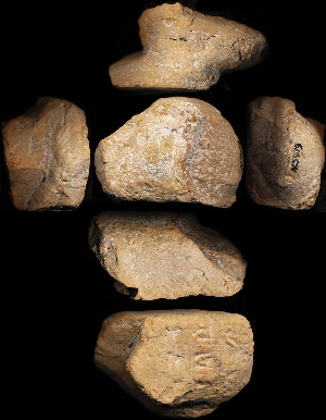 N5979