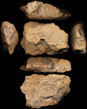 N5981
