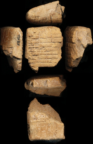 N5982