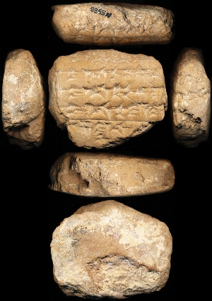 N5988