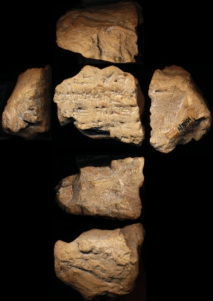 N5991
