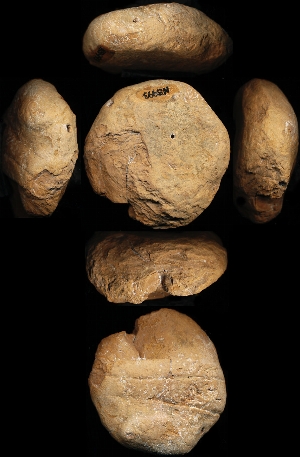 N5993