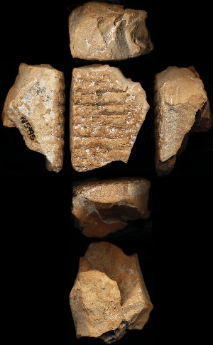 N5995