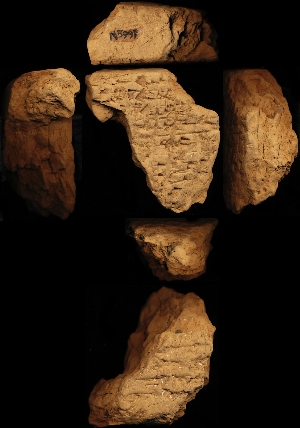 N5997