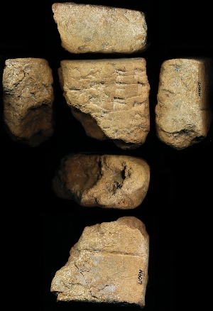 N6017