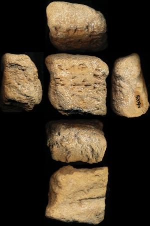 N6028