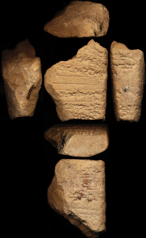 N6039