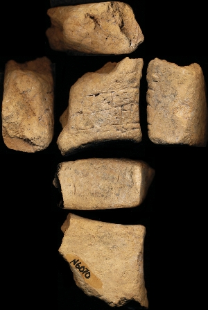 N6070