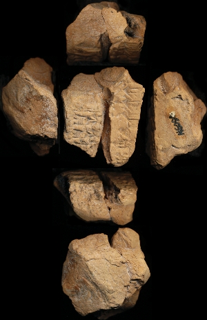 N6090