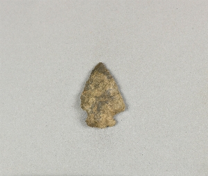 45-14-119