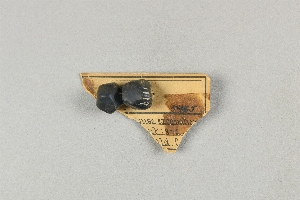 97-563-1119