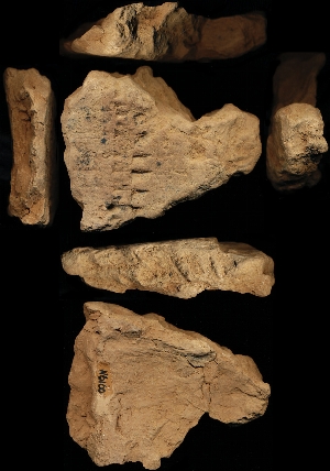 N6160