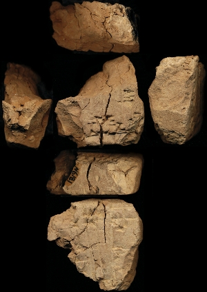 N6181