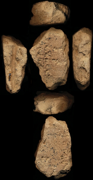 N6206