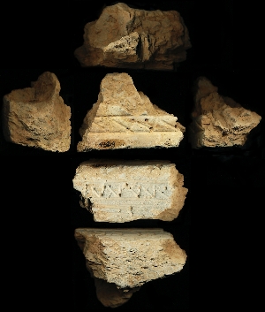 N6219