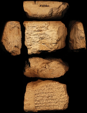 N6263