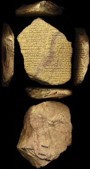 N6288