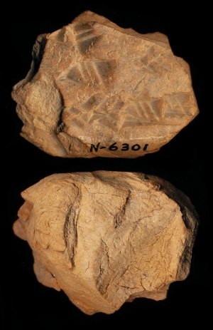 N6301