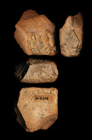 N6308