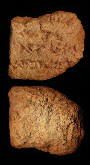 N6309