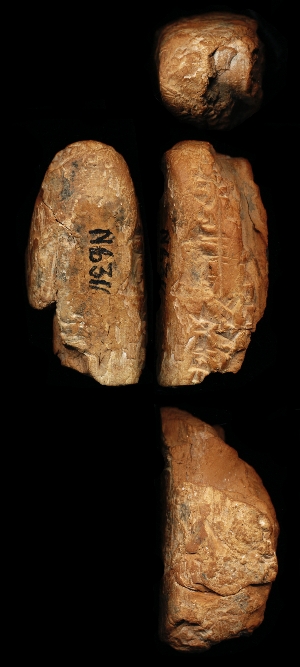 N6311