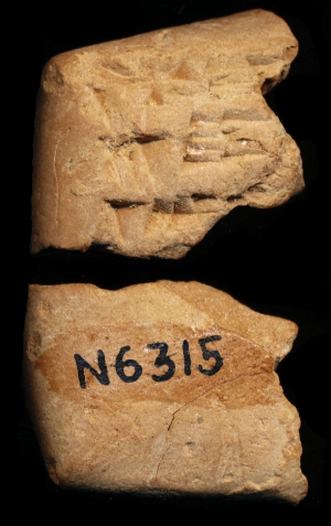 N6315