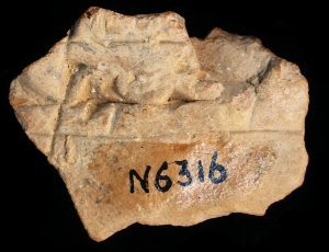 N6316