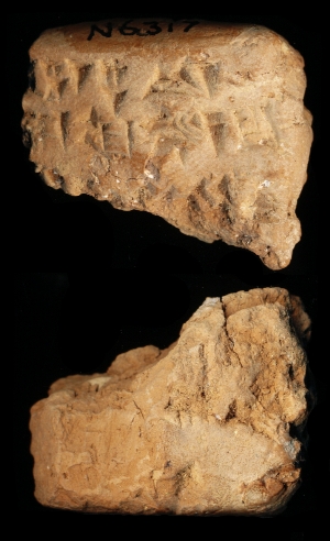N6317
